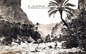 El-kantara - Palmeraie au bord de l'Oued
